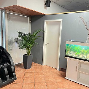 IMG7810